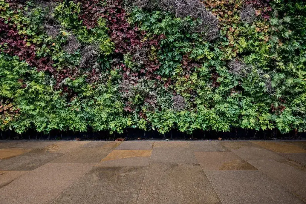 Интерьер Imola Trail - 4