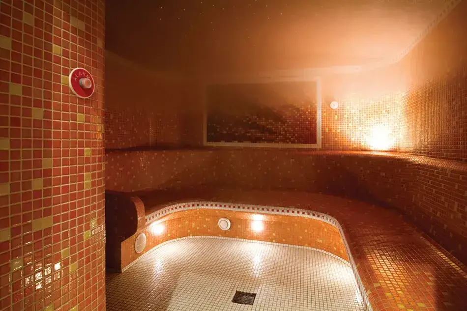 Интерьер Ezarri Safe-Steps - 2