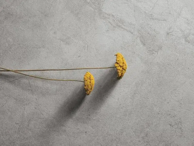 Интерьер Refin River - 1