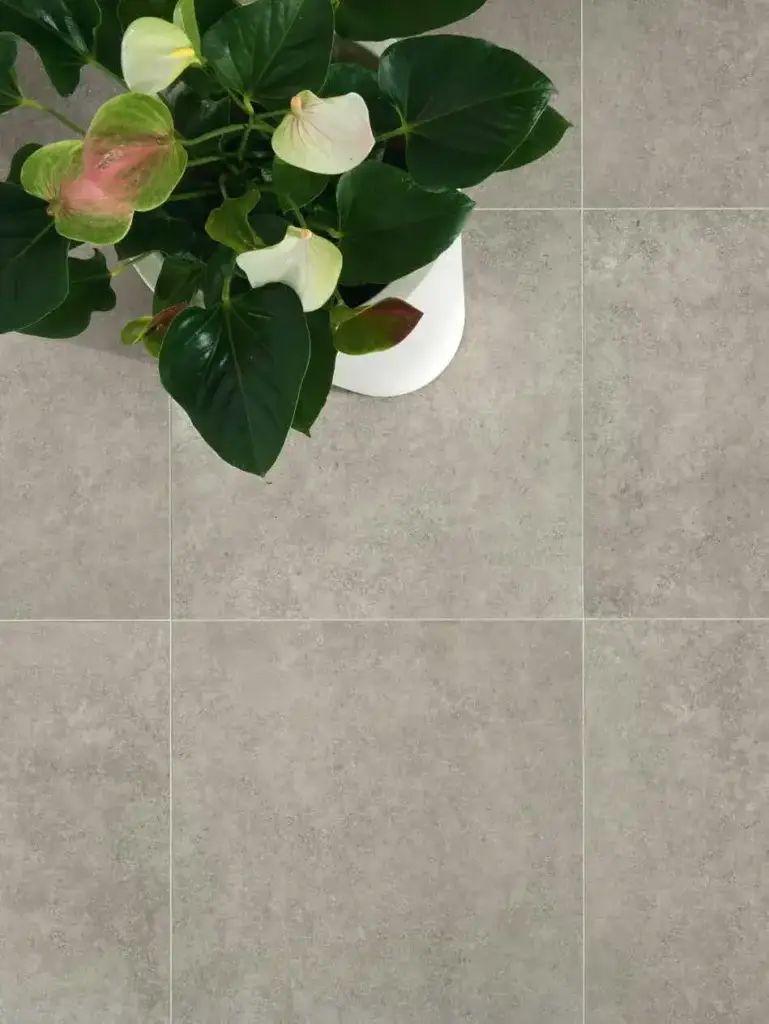 Интерьер Italon Nova - 1