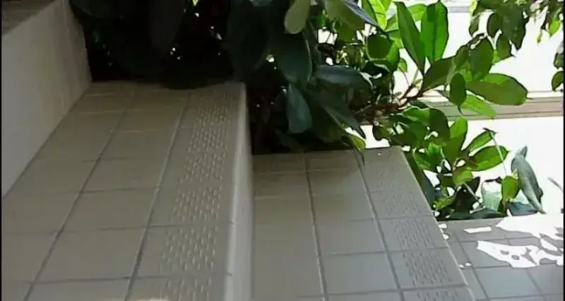 Интерьер Top Cer Trim shapes