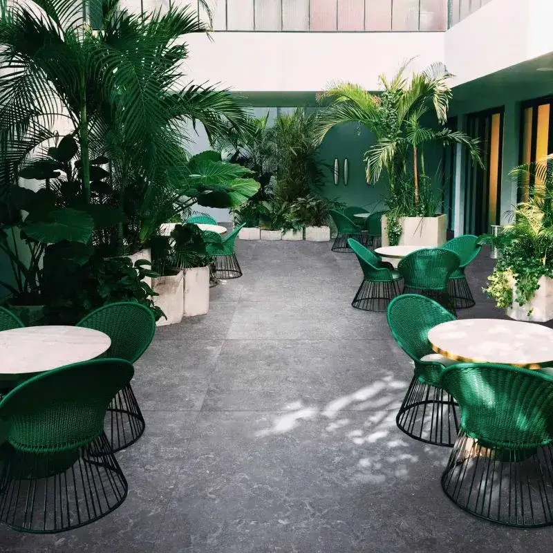 Интерьер Ariana Memento - 3