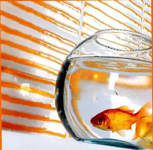 Интерьер Pamesa Agatha - 7