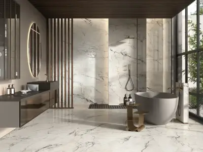 La Faenza Aesthetica