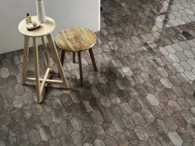 Serenissima Cir Fossil