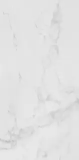 Porcelanosa Carrara Керамогранит Белый 59x120 100316011