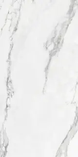 Colorker Insignia Керамогранит Серый 59x119 222228