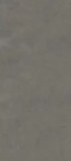 Xlight by Porcelanosa Liem Керамогранит Серый 120x270 100332633