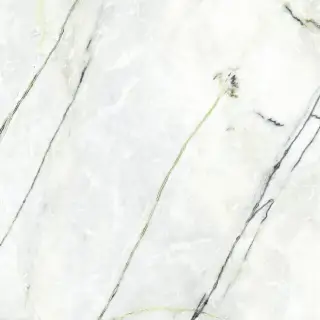 Xlight by Porcelanosa Calacatta Керамогранит Зеленый 120x120 100331093