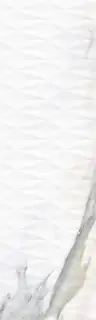 Colorker Calacatta Gold Керамическая Плитка Белый 31x100 223584