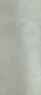 Mirage Clay Керамогранит Серый 120x278 APA6