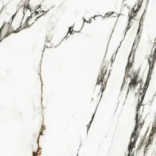 Xlight by Porcelanosa Paonazzo Biondo Керамогранит Серый 120x120 100331132