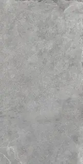 Colorker Horizon Керамогранит Серый 59x119 224252