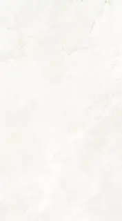 Museum Chicago Керамогранит Белый 100x180 31758