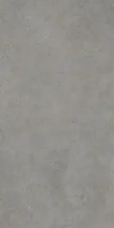 Mirage Elysian Керамогранит Серый 60x120 AXC8