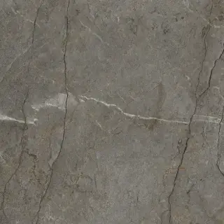 Xlight by Porcelanosa Astana Керамогранит Серый 120x120 100331092