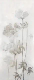 Mirage Papier Керамогранит Серый 120x278 BDJ6