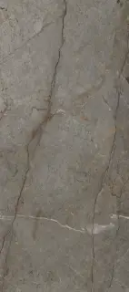 Xlight by Porcelanosa Astana Керамогранит Серый 120x270 100332165