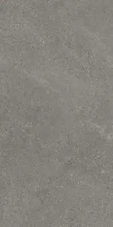 Mirage Motley Керамогранит Серый 30x60 BGD7