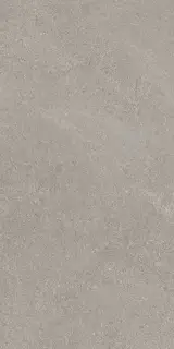 Mirage Motley Керамогранит Серый 60x120 BEY2