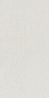 Mirage Plumage Керамогранит Бежевый 60x120 CCL6