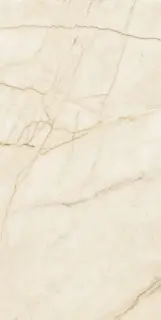 La Faenza Oro 60x120