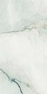 La Faenza Aesthetica 120x278