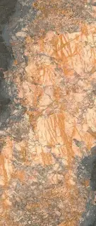 La Faenza Aesthetica 120x278