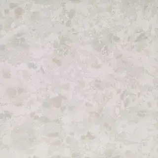 Leonardo Attitude 120x120