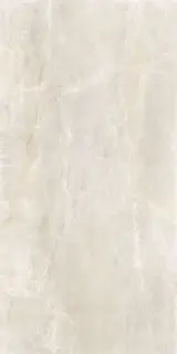 Serenissima Fossil 60x120