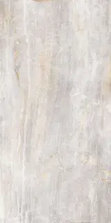 Serenissima Fossil 60x120