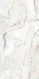 Geotiles Sauvage Керамогранит Серый 60x120