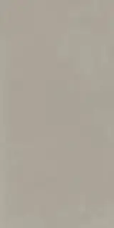 Syntech TAUPE 60X120 R9 RT