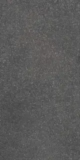 Lavica Anthracite 60X120 R10