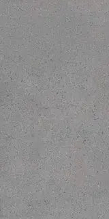 Lavica Grey 60X120 R10