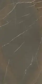 IN-SIDE Pietra Piasentina Taupe 120x300 5+