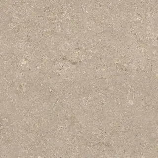 Heritage BEIGE 60X60 R11 RT