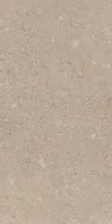 Heritage BEIGE 60X120 R10 RT