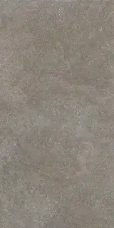 Brystone AVANA 60X120 R10 RT