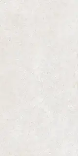 Brystone WHITE 60X120 R10 RT