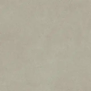 Boost Natural Pro Dove 80x80