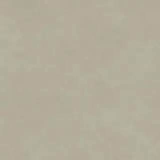 Boost Natural Pro Dove 120x120