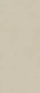 Boost Natural Pro Cinder 120x278 - 6mm