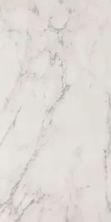 ROMA STONE 60X120 CARRARA DELICATO MATT R9