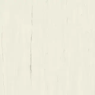 Marvel Bianco Dolomite 120x120