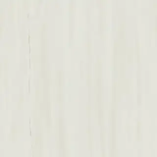 Marvel Bianco Dolomite 60x60 Lappato