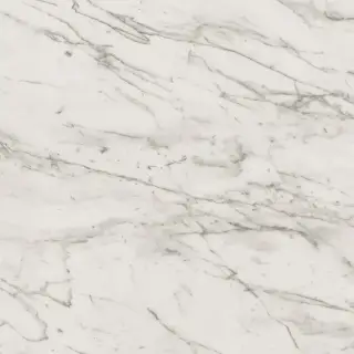 Marvel Statuario Select 120x120 Lappato