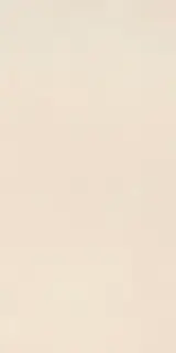 Elements Design IVORY 60X120 R9 RT