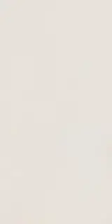 Elements Design WHITE 60X120 R10 RT