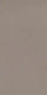 Elements Design TAUPE 60X120 R9 RT